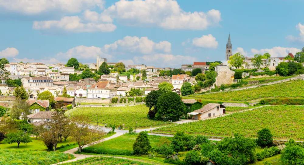 Campeggio e vigneti: alla scoperta delle strade del vino di Bordeaux - CampingDirect - Immagine n°2
