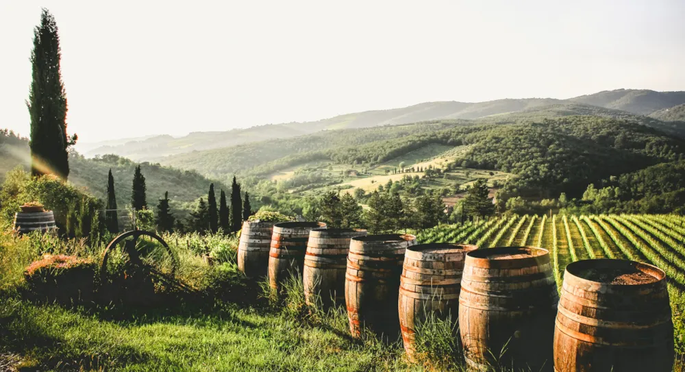 Campeggio e vigneti: alla scoperta delle strade del vino di Bordeaux - CampingDirect - Immagine n°1