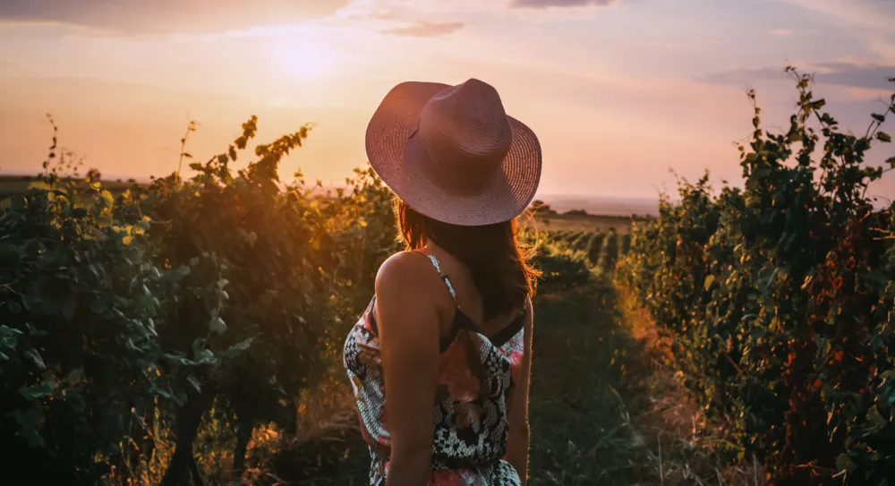 Campeggio e vigneti: alla scoperta delle strade del vino di Bordeaux - CampingDirect - Immagine n°3