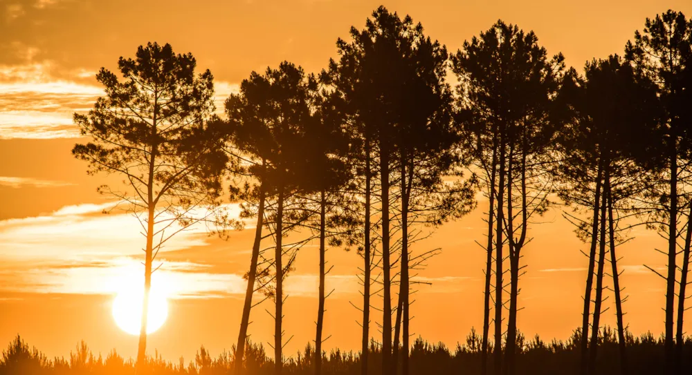 Le charme des vacances en camping dans Les Landes  - CampingDirect - Image n°1