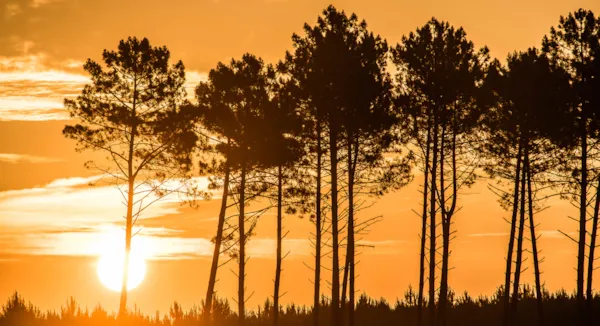 Le charme des vacances en camping dans Les Landes 