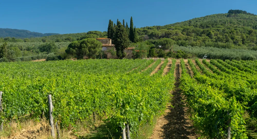 Visitare la Toscana: la nostra guida - CampingDirect - Immagine n°17