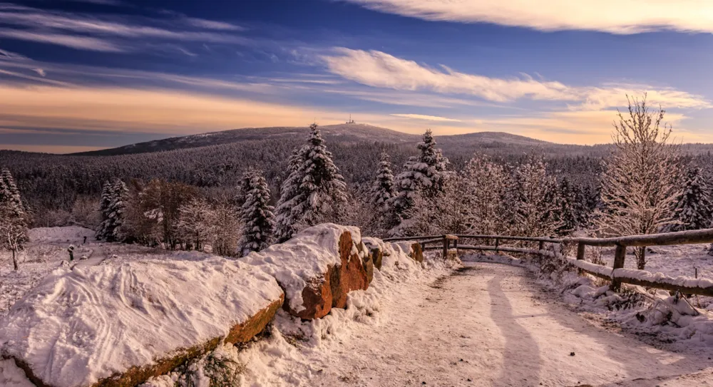 Niedersachsen: Ihr umfassender Reiseguide für Urlaub zwischen Nordsee, Heide und Harz  - CampingDirect - Bild n°7