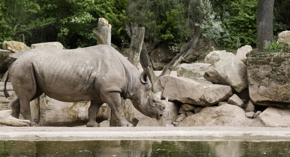 Niedersachsen: Ihr umfassender Reiseguide für Urlaub zwischen Nordsee, Heide und Harz  - CampingDirect - Bild n°5