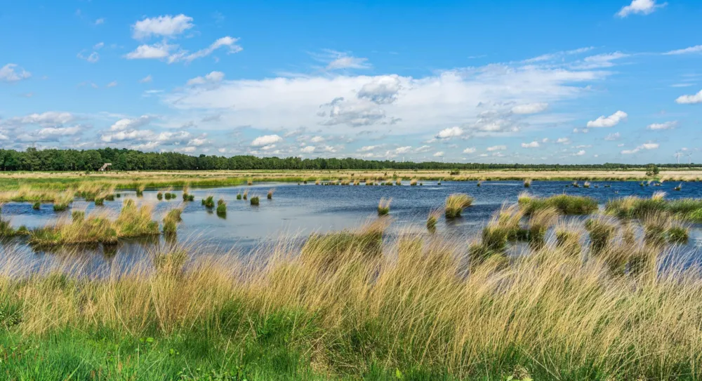 Niedersachsen: Ihr umfassender Reiseguide für Urlaub zwischen Nordsee, Heide und Harz  - CampingDirect - Bild n°1