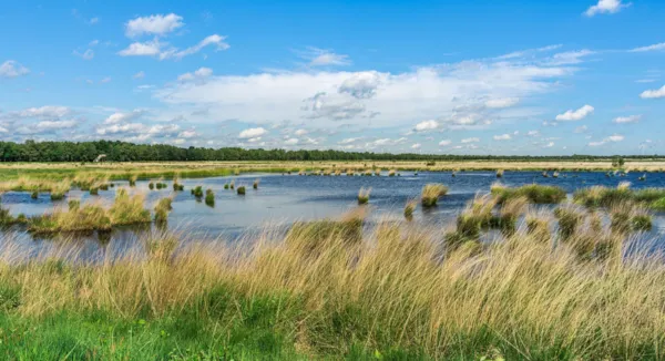 Niedersachsen: Ihr umfassender Reiseguide für Urlaub zwischen Nordsee, Heide und Harz 