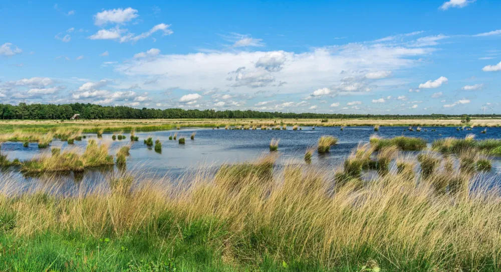 Niedersachsen: Ihr umfassender Urlaubsguide - CampingDirect