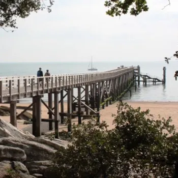 Les Îles Noirmoutier - Yeux
