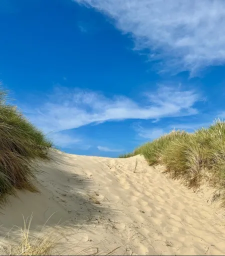 Dunes de sable  - Naturisme.fr