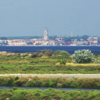 Camping à Marseillan (34340) dans l'Hérault
