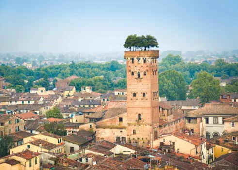 Blick auf den Torre Guinigi in Lucca, Italien