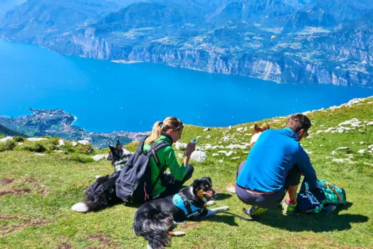 Touristen mit Hunden auf dem Gipfel des Monte Baldo, Italien