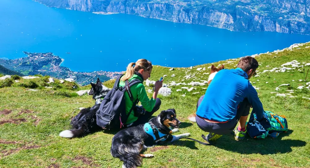 Kamperen met je hond - hondvriendelijke campings - CampingDirect - Afbeelding n°3