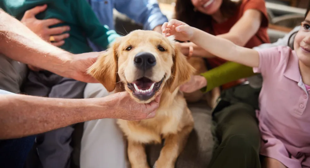 Camping mit Hund: Der ultimative Leitfaden für einen gelungenen Urlaub mit Vierbeiner - CampingDirect - Bild n°2