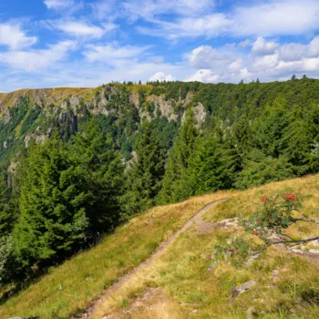 Wandelgebied rondom Hohneck in de Vogezen