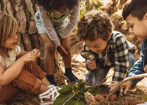 Child-friendly campsites - CampingDirect