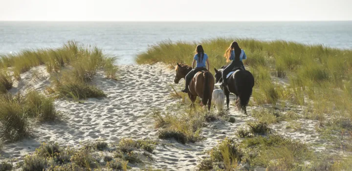Zwei Reiterinnen auf Pferden reiten durch Sanddünen am Strand, mit Blick auf das Meer im Hintergrund.