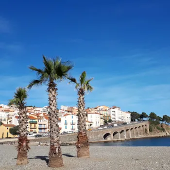 copyright Alan Mattingly