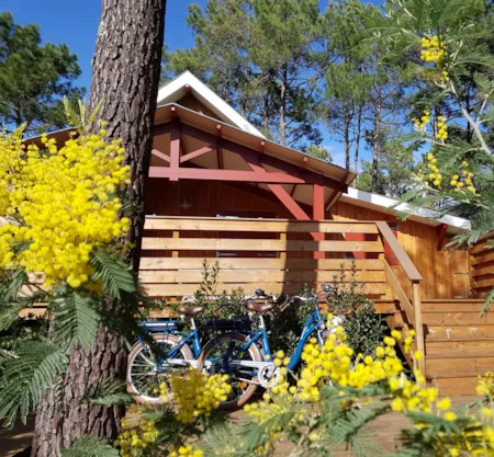 Chalet en bois avec vélos au cœur d'un camping en forêt - Naturisme.fr