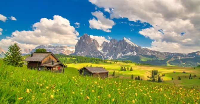 Seiser Alm mit dem Langkofel im Hintergrund bei Sonnenuntergang. Gelbe Frühlingsblumen und Holzhütten in den Dolomiten, Trentino-Südtirol, Südtirol, Italien