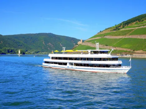 Boot auf dem Rhein mit Weinbergen im Hintergrund