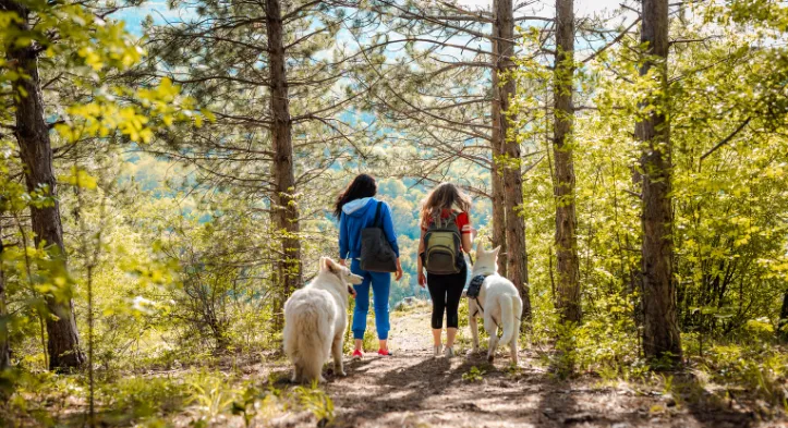 Los mejores consejos para ir de camping - CampingDirect - Imagen n°5