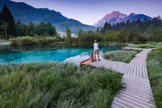 Ein sportlicher Mann mit Hund beobachtet den Sonnenaufgang im Zelenci-Park, Slowenien