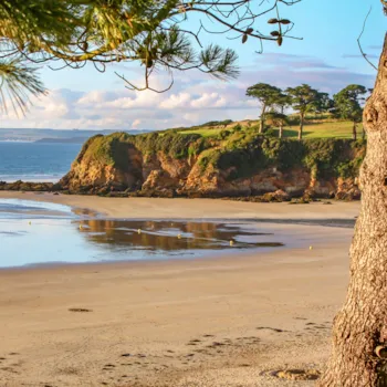 Uitzicht op een leeg zandstrand plage du Ris in Bretagne, in warm licht met een rotswand en naaldbomen hogerop | Camping Direct