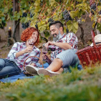 Pärchen beim Picknick im Weinberg