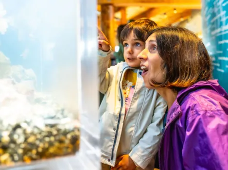 Kleiner Junge beobachtet mit seiner Mutter begeistert Tiere in einem großen Aquarium