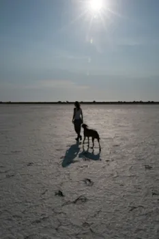 Eine Frau und ihr Hund spazieren durch die Salzwiesen der Camargue in Frankreich