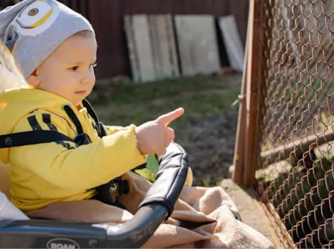 Kleines Kind im Kinderwagen zeigt auf Tiergehege