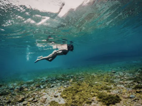 Schnorchler im flachen Wasser