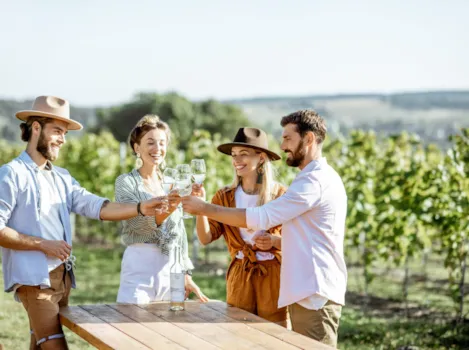 Vier junge Erwachsene stehen rund um einen Tisch inmitten von Weinreben und stoßen mit Weingläsern an