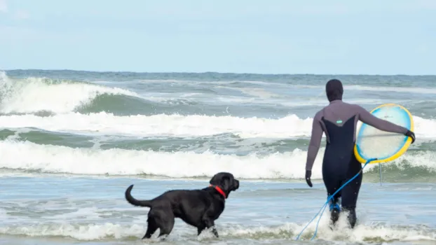 Frau mit Surfbrett und Hund am Strand auf dem Weg in die Wellen