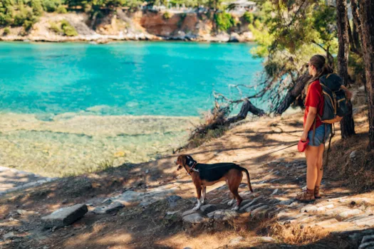 Eine Touristin und ihr Hund genießen den Blick auf eine mediterrane Bucht.
