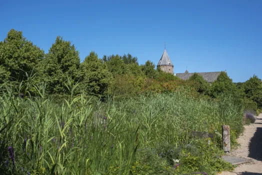Naturreservat De Manteling beim Schloss Westhove nahe Oostkapelle, Provinz Zeeland in den Niederlanden
