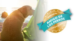 Certificación Amigo de los perros - CampingDirect