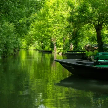 Regionaler Naturpark Marais Poitevin
