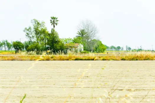 Landwirtschaftliche Felder, Reisfelder und ein traditionelles altes Haus im Ebro-Delta, Provinz Tarragona, Katalonien, Spanien.