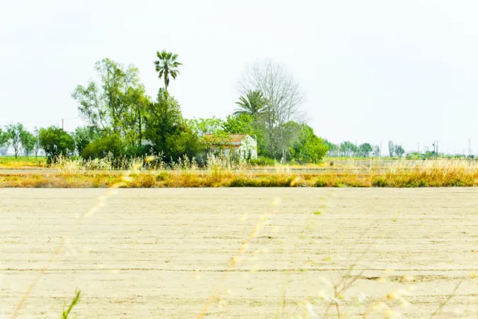 Landwirtschaftliche Felder, Reisfelder und ein traditionelles altes Haus im Ebro-Delta, Provinz Tarragona, Katalonien, Spanien.