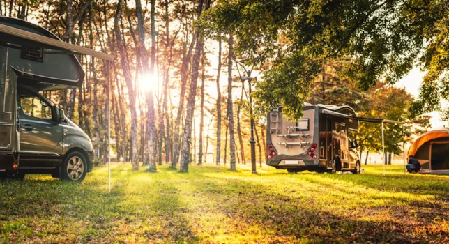 Campings con parcelas - CampingDirect - Imagen n°2