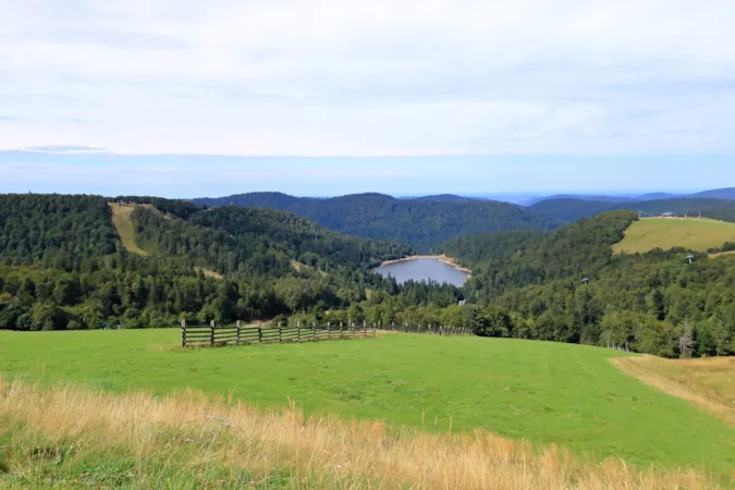 Blick auf die Landschaft der „Route des Crêtes“ im Elsass, in den Vogesen, Frankreich, im Sommer