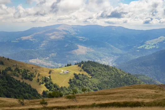 Blick auf die Vogesen vom Gipfel des Hohneck an einem schönen Sommertag