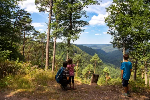 Ein Vater mit seinen Kindern beim Wandern im Wald, Deutschland