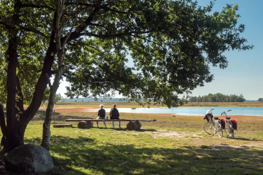 Ein älteres Ehepaar sitzt auf einer Holzbank in der Sonne und genießt die Landschaft am See. Die Fahrräder stehen daneben.