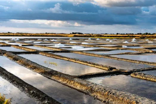 Marais salants sur l'île de Noirmoutier en France