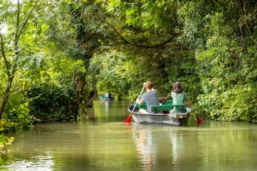 Ein junges Paar rudert in einem Boot im Marais Poitevin, dem „Grünen Venedig“, Vendée, Frankreich