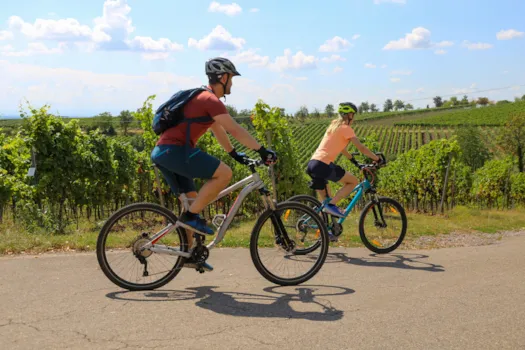 Ein junges Paar auf einer Radtour durch die Weinberge
