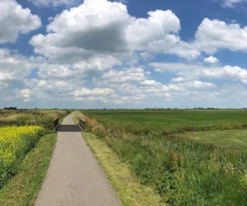 Blühendes Wiesenpanorama in Friesland, Niederlande